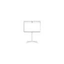 Cisco Webex Room 55 on floor stand